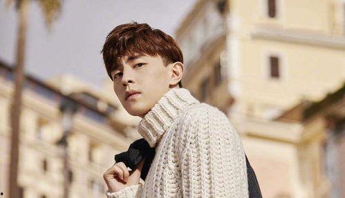 娱乐爆料晏紫东视频大全,娱乐爆料背后的精彩瞬间